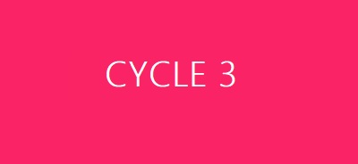 Cycles 3